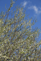 _MG_2361_kis