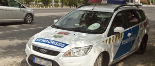 Rendorseg2