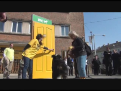 Kutyapiszok kampány sajtótájékoztató