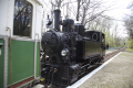 _MG_2409_kis