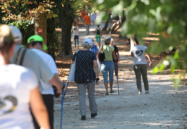 kardioosveny07 kardioosveny07