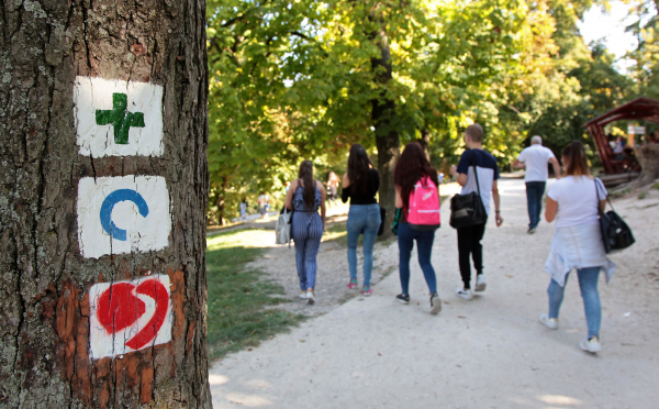 kardioosveny14 kardioosveny14