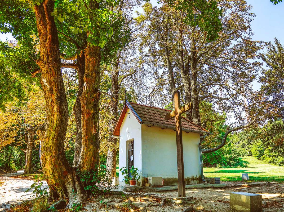 _D1A0992_akoszu _D1A0992_akoszu