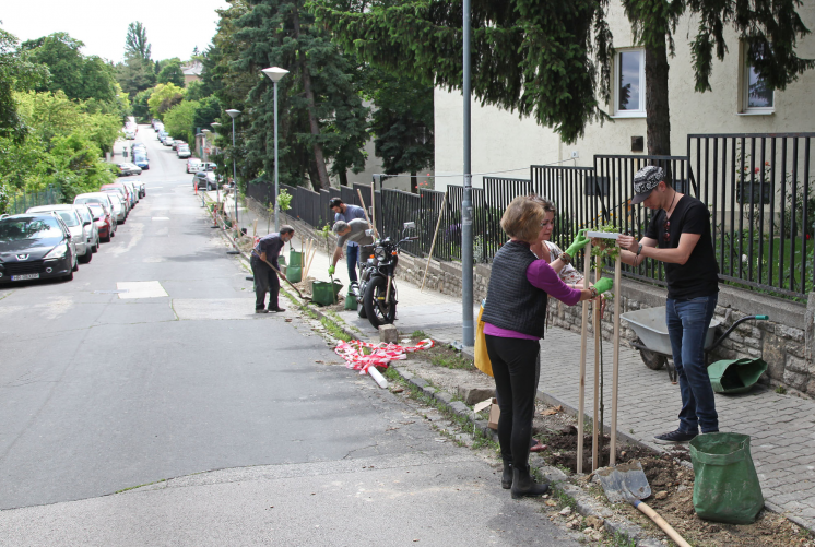 faultetes08 faultetes08