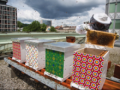 ljubljana_beepathnet_beehive_rooftop ljubljana_beepathnet_beehive_rooftop