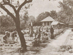 Kerti_munka_a_svabhegyi_iskolaban(Hegyvidéki Helytörténeti_Gyűjtemény_tulajdona) Kerti_munka_a_svabhegyi_iskolaban(Hegyvidéki Helytörténeti_Gyűjtemény_tulajdona)