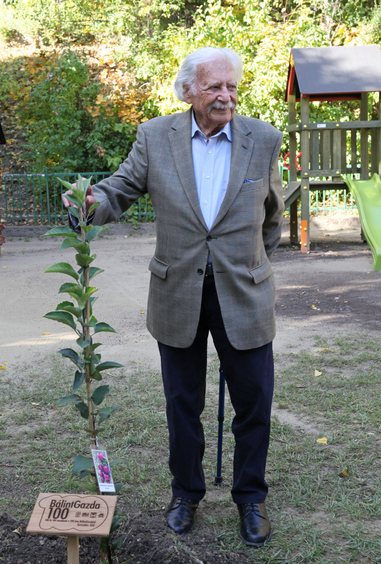 balint_gazda01 balint_gazda01