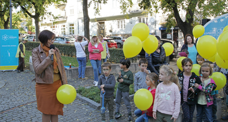 koszonto02 koszonto02