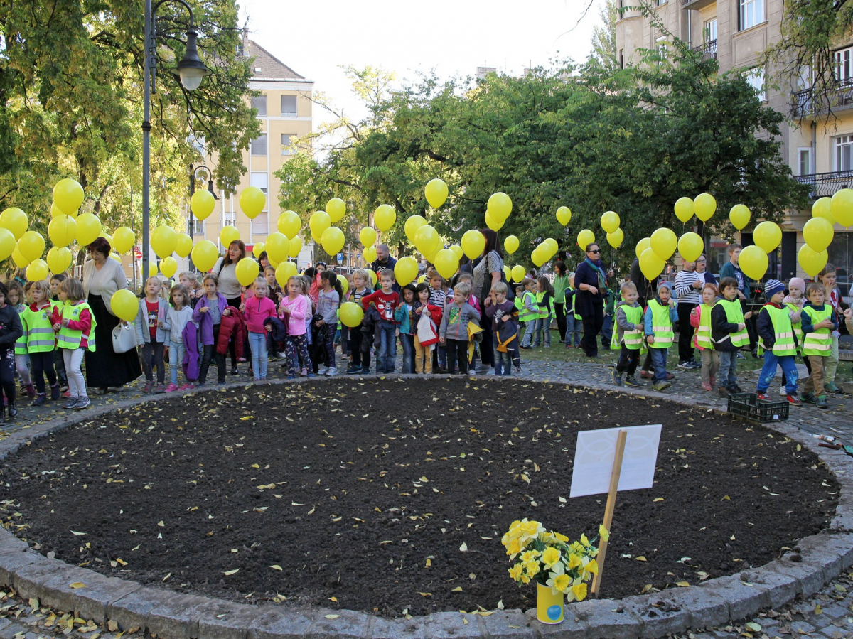 Nárciszültetés a betegekért Nárciszültetés a betegekért
