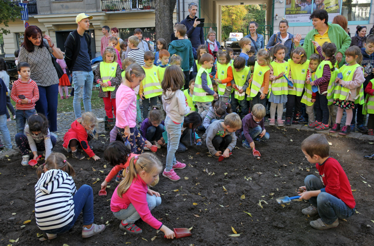 narcisz_ultetes04 narcisz_ultetes04