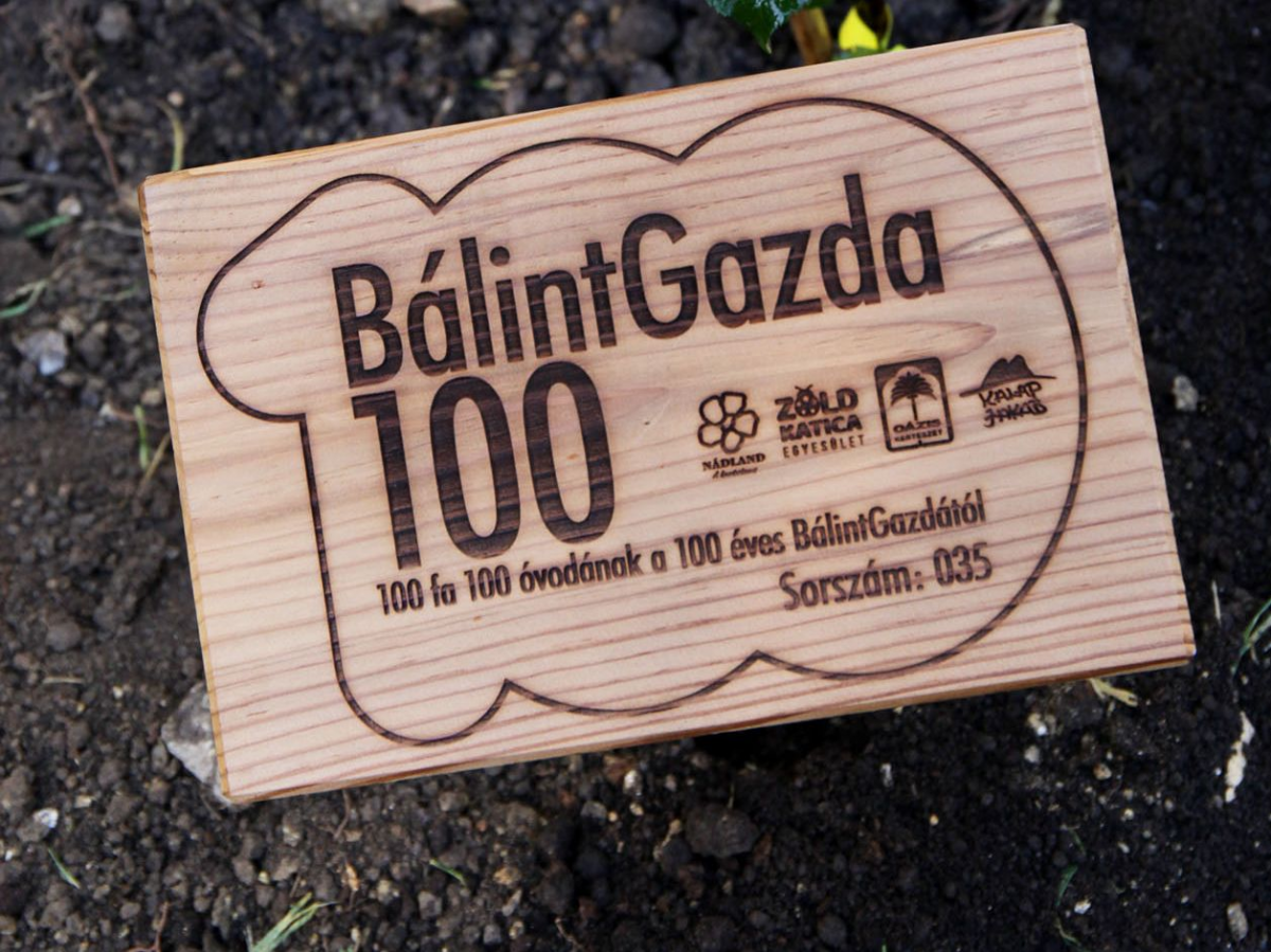 Faültetés Bálint Gazdával a Mesevár óvodában Faültetés Bálint Gazdával a Mesevár óvodában