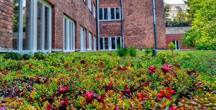 ViziGergelyfotoja ViziGergelyfotoja