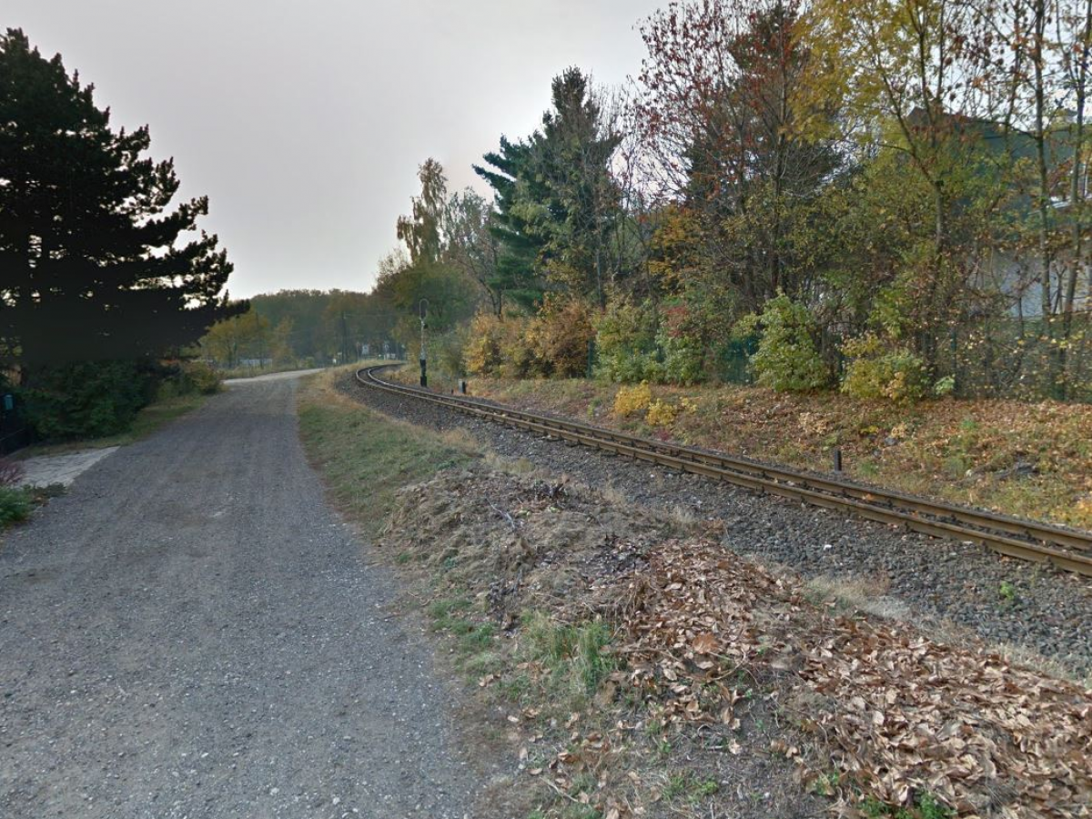 Feljelentés engedély nélküli fakivágás miatt Feljelentés engedély nélküli fakivágás miatt