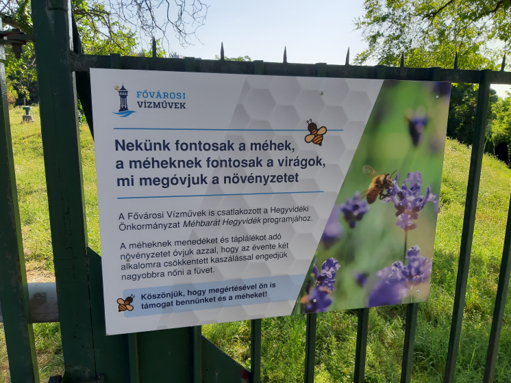 vizmuvek vizmuvek