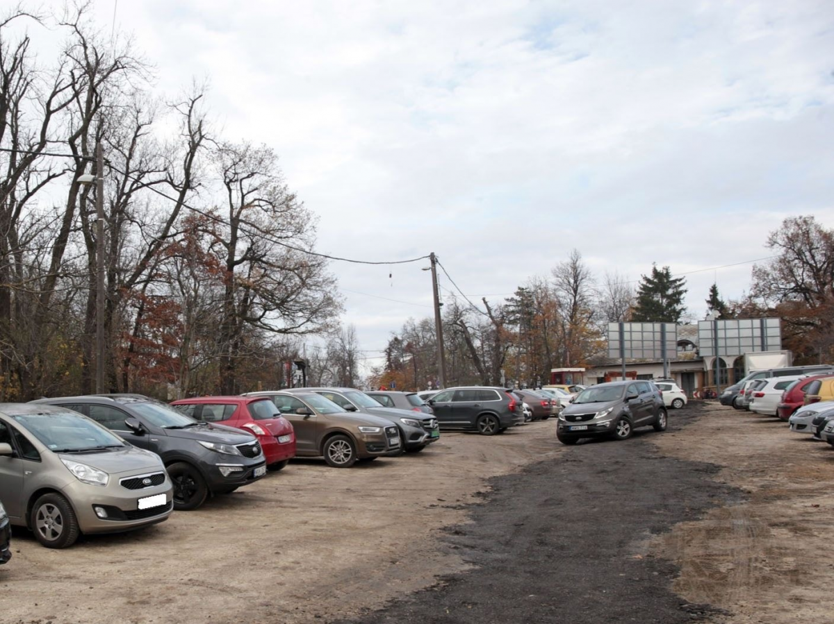 NORMAFA PARKOLÓ: VISSZALÉPETT A VÉDEGYLET A PERTŐL NORMAFA PARKOLÓ: VISSZALÉPETT A VÉDEGYLET A PERTŐL