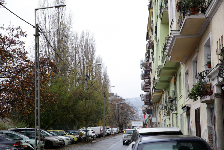 famentes08 famentes08