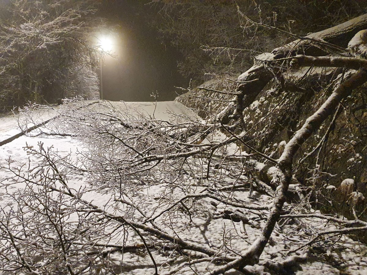 Lezárja a Normafát és parkolóját a Hegyvidéki Önkormányzat Lezárja a Normafát és parkolóját a Hegyvidéki Önkormányzat