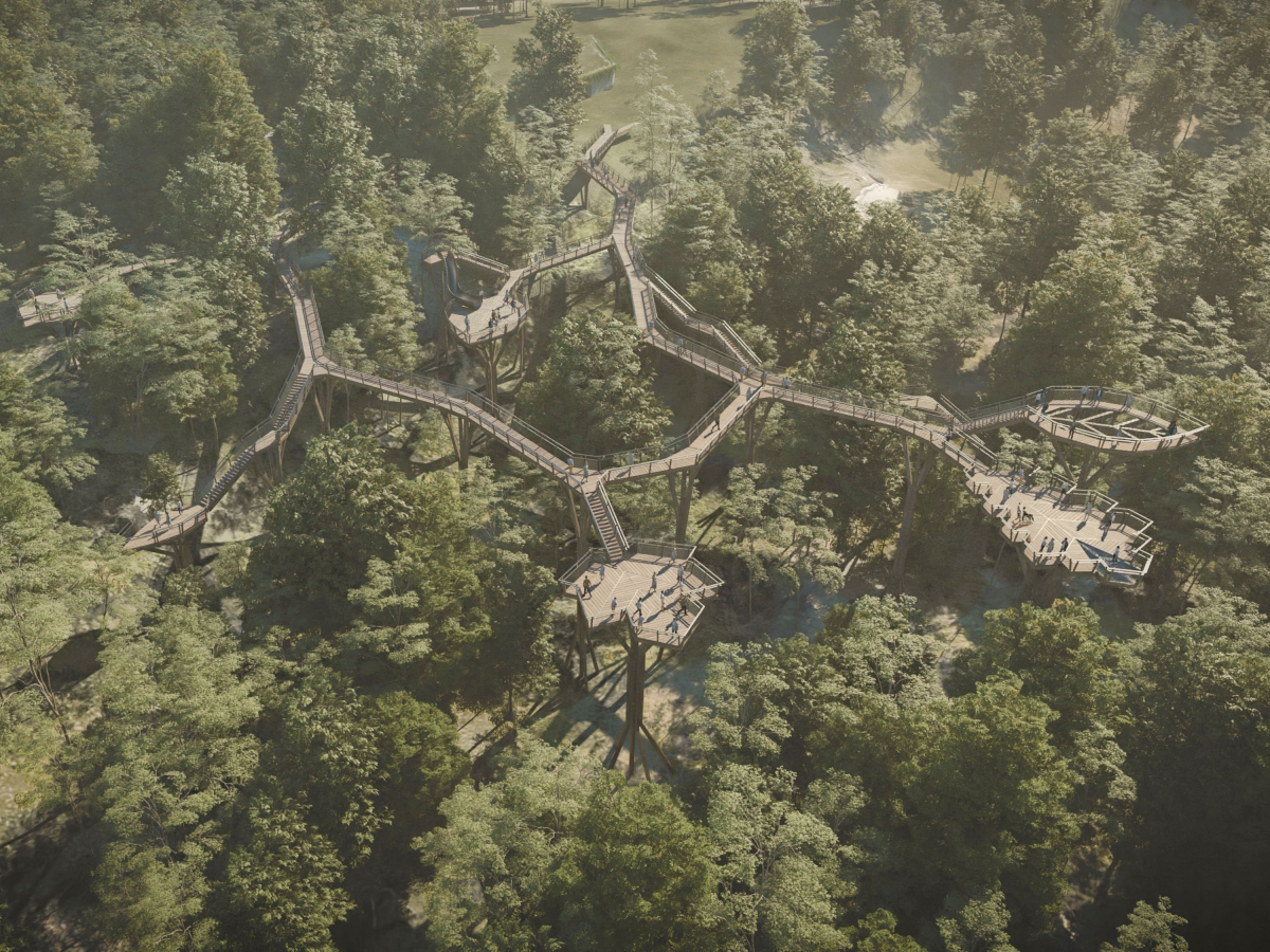 A civil szervezetek támogatásával épülhet meg a tanösvény a Normafán A civil szervezetek támogatásával épülhet meg a tanösvény a Normafán