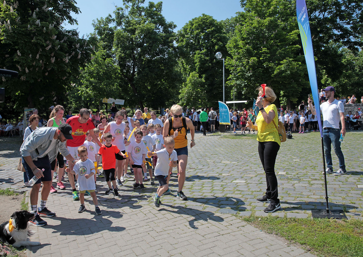 hospice_futas13 hospice_futas13